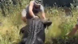 Alligator attacks a man 🐊💀🔞