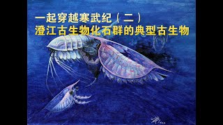 一起穿越寒武纪2(Cambrian)澄江群——昆明鱼(Myllokunmingia fengjiaoa)、怪诞虫(Hallucigenia)、等刺虫(Isoxys)和古蠕虫(Cricocosmia)