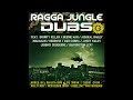 Various - Ragga Jungle Anthems Vol. 3: Ragga Jungle Dubs (2007)