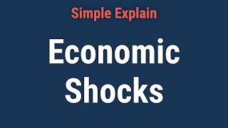 What Is an Economic Shock?