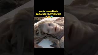 கடல் கன்னிகள் இருப்பது உண்மையா 🤯😳😱 Is Mermaid Real? #amazingfacts #shorts #trending