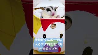 唐揚げくんポーチに入るフクロモモンガが可愛すぎて惚れた🤦‍♀️