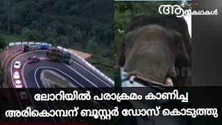 ലോറിയിൽ ബഹളം വെച്ച അരികൊമ്പന് ബൂസ്റ്റർ ഡോസ് കൊടുത്തു തളർത്തി | Arikomban capture video