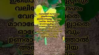 ജീവിതത്തിലെ ഏറ്റവും വലിയ അനുഗ്രഹം..#motivation #lifequotes #malayalam #whatsappstatus