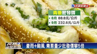 豪雨菜價漲!  青蔥價飛漲5倍－民視新聞