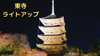 【Kyoto】京都_東寺_ライトアップ_紅葉_夜散歩　Autumn leaves in Kyoto Japan