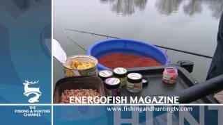 Energofish Magazin - Párórás feeder horgászat