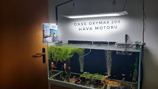 OASE OXYMAX 200 | AKVARYUM HAVA MOTORU KUTU AÇILIMI VE İNCELEME