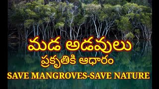 #MaaGodavari #Education #Nature #మడ అడవులు 27.07.2020 #Mangroveday | Importance of mangroves | V10 |