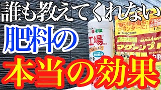 あなたは肥料の3大要素、窒素リン酸カリがどのように作用するか知っていますか？