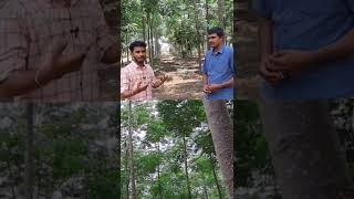 தண்ணீர் இல்லாத காட்டில் விவசாயம் | water scarcity in agriculture | which farming is best in dry land