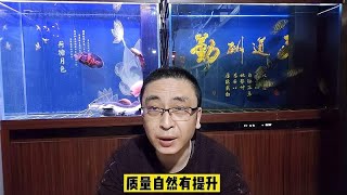 为什么鱼缸品牌不做推荐，最好是在当地实地购买？