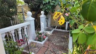 В гостях у свекровь. Обстановка у моей свекровь. Что тут пвориться .
