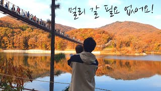 단풍놀이, 멀리 갈 필요없어요! 아기와 함께 파주 마장호수 나들이👨‍👩‍👦💚