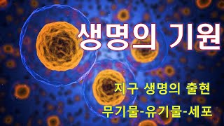 무기물에서 유기물을 거쳐 탄생한 세포 : 생명의 기원