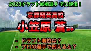 【横浜DeNA育成3位】小笠原蒼(京都翔英高校) 辛口評価！【2023ドラフト候補】