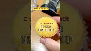 こっこ発売40周年を記念して作られた名古屋コーチン使用のcocco THE GOLDはまるで玉子⁈#こっこ#黄色いしあわせこっこ#coccothegold#静岡サービスエリア#お土産#おみやげ