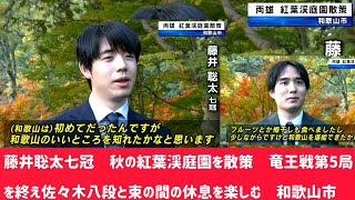 藤井聡太七冠　秋の紅葉渓庭園を散策　竜王戦第5局を終え佐々木八段と束の間の休息を楽しむ　和歌山市#藤井聡太 #日本将棋連盟