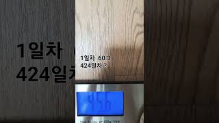 다이어트 424일차. 어싱의 중요성.