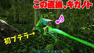 【ARK ロストアイランド】#2 ギガノトサウルス登場。初プテラノドンで喜んでたのに。座標もわかる。森のギガさん♪マジで気づきにくいよっ【アーク Lost Island】