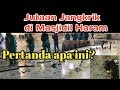 JUTAAN Jangkrik keluar Di sekitar MASJIDIL HARAM, PERTANDA APA INI?