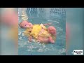 baby fällt kopfüber in pool doch die mutter reagiert nicht