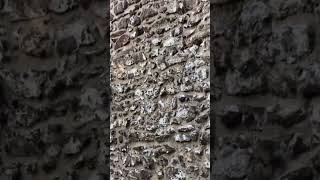 City wall built on the orders of Emperor Charles IV in 1347 I’m Weiden Germany. Oct 2022 #shorts