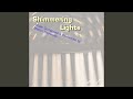 Shimmering Lights