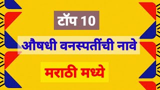 aushadhi vanaspati chi naave | टॉप 10 औषधी वनस्पतींची नावे मराठी | aushadhi vanaspati | औषधी वनस्पती