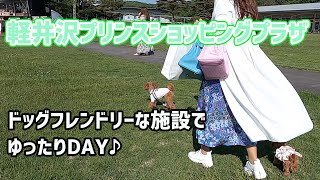 【犬OK施設】軽井沢プリンスでのんびりしてきた