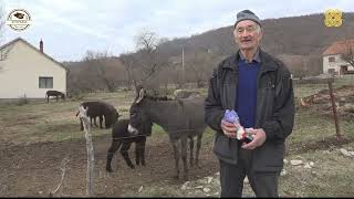 STOPAMA PREDAKA:FARMA MAGARACA BERKOVIĆI