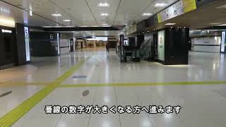 【東京駅】中央線から八重洲中央口への行き方