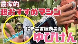 ♯415【収穫時期を数値化して採り頃が丸分かり】指先音響振動装置ゆびけん【核割れ果も判別】