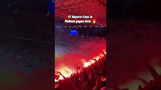 FC Bayern-Fans in Mailand gegen Inter 🔥