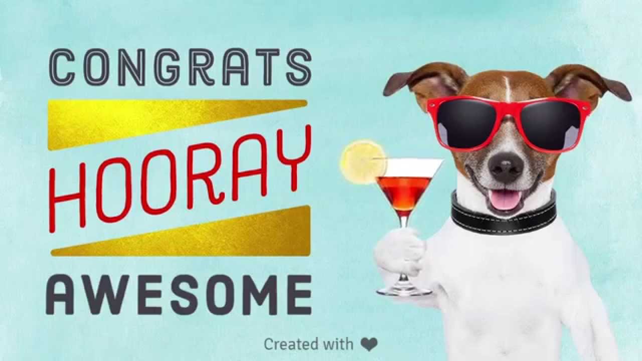 Pinnatta Congratulations Dog Cheers Youtube