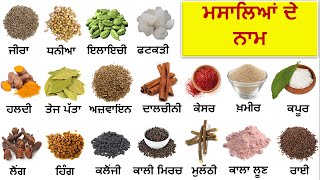 ਮਸਾਲਿਆਂ ਦੇ ਨਾਮ || Spices Names in Punjabi And English || Spices Name || ਮਸਾਲੇ