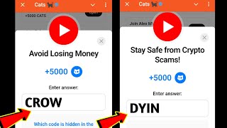 Avoid Losing Money Cats Code| Stay Safe from Crypto Scams! Cats | 25-26 December Cats All Video Code