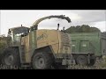 krone big x 1100 feldhäcksler . mais ernte 2011 . mais häckseln für die bga in lanken.wmv