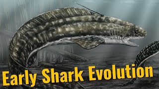 The Origin of Sharks