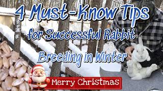 Winter Breeding Tips: Understanding Rabbit Reset \u0026 Libido Changes