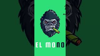 EL MONO // 2024 NEW CLUB BANGER // VAGENSTA