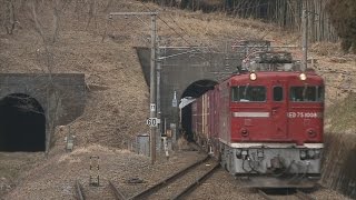 常磐線 ED75貨物列車⑤　末続駅　小高　逢隈