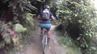 Rotorua Billy T MTB Trail