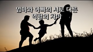 [엄마와 아빠의 서로 다른 역할의 차이] 연중 제20주간 월요일, 2023 08 21, 전삼용 요셉 신부