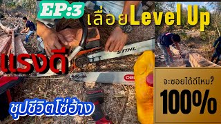 🔥EP:3เลื่อยนLevel Up แรงดี+คืนสภาพโซ่ฮ้าง มาพิสูจน์กัน