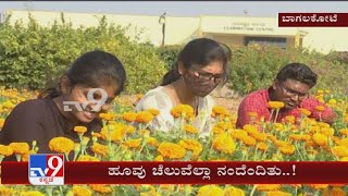 Students Research On Flowers For Making Profit to Farmers In Bagalkot