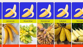 Banana Varieties Names || Types of Bananas || Different Types of Banana Names