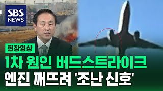 [속보] 1차 원인된 '버드 스트라이크'..\