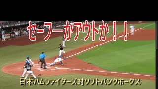 日本ハムファイターズ　強肩浅間選手　＃プロ野球＃ソフトバンクホークス＃浅間大基