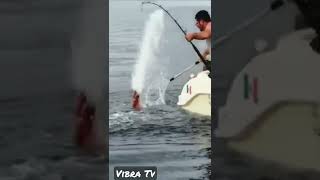 Lula Gigante Pego na Vara de Pesca.  #shorts  #tiktok  Vida Selvagem  #pescaria